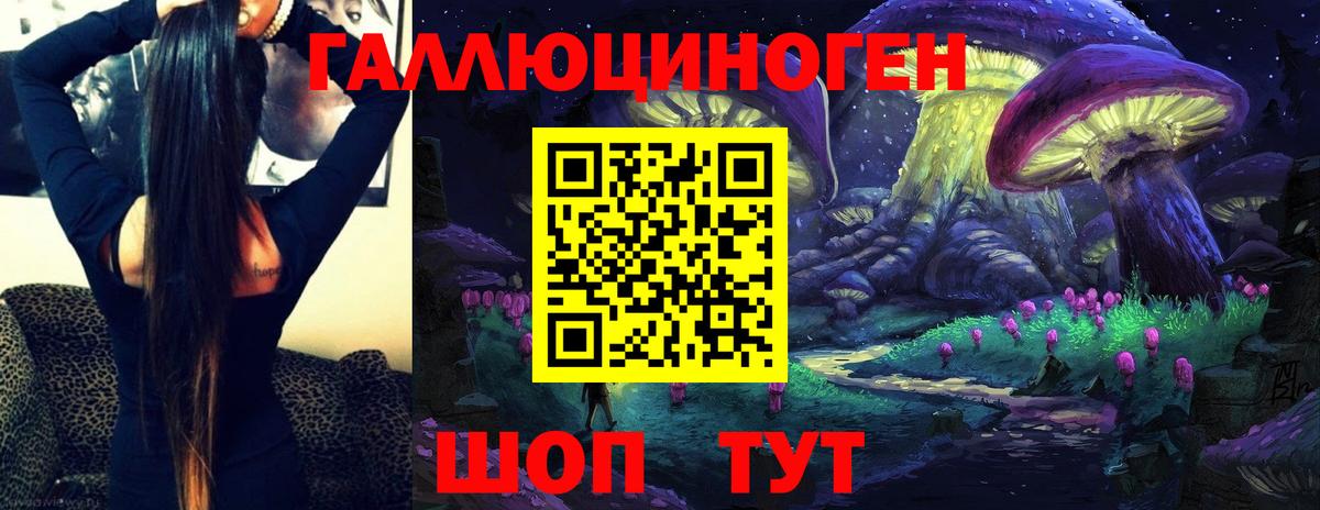 Галлюциногенные грибы прущие грибы Майкоп