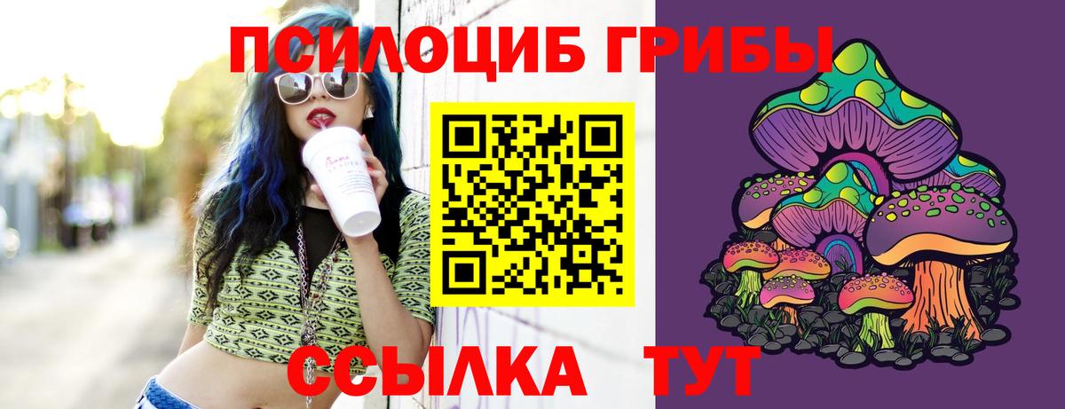 Майкоп  Галлюциногенные грибы Psilocybe  Вход с VPN 
