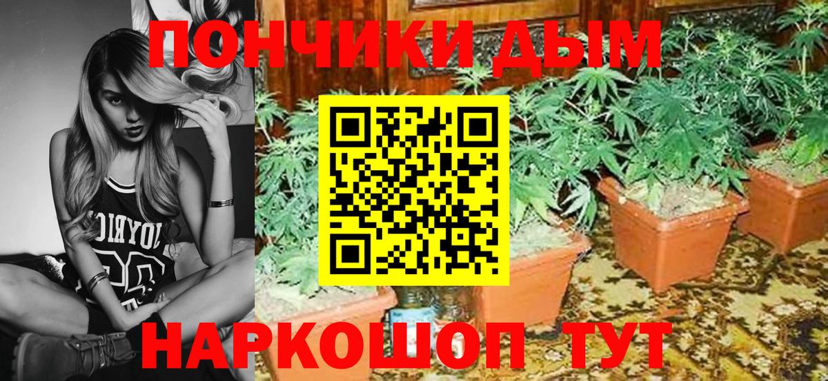 МАРИХУАНА MAZAR  Вход с VPN  Канабис OG Kush  Майкоп  Бошки Шишки Amnesia 